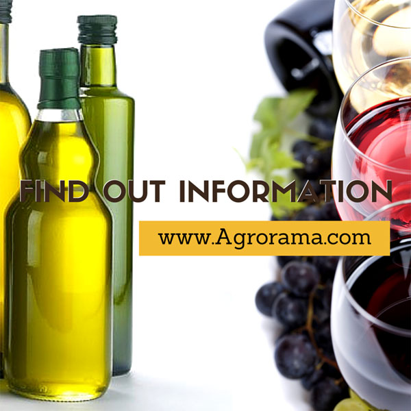 olive-oil-and-wine2