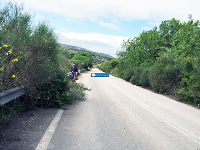 xardalias_gogolos.jpg1