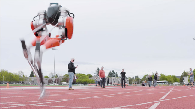Cassie: Το ρομπότ – στρουθοκάμηλος κερδίζει βραβείο Γκίνες ως το πιο γρήγορο στον κόσμο